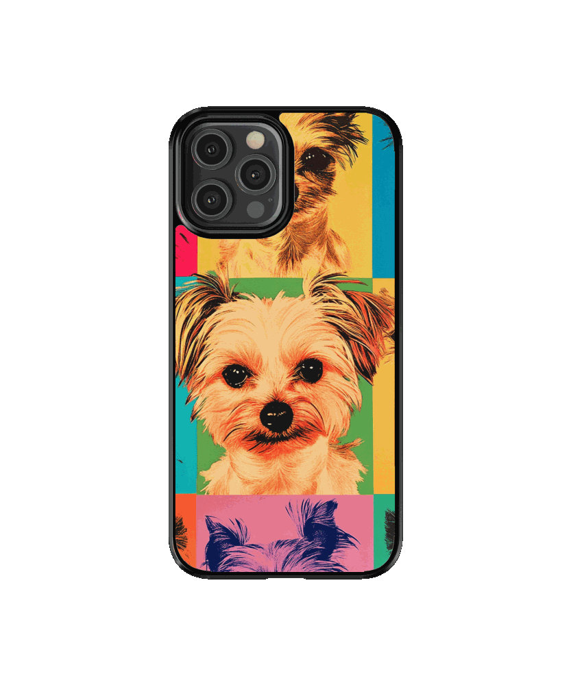 Gatos Warhol 5