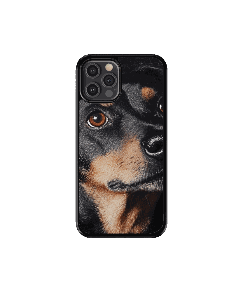 Mascota 2