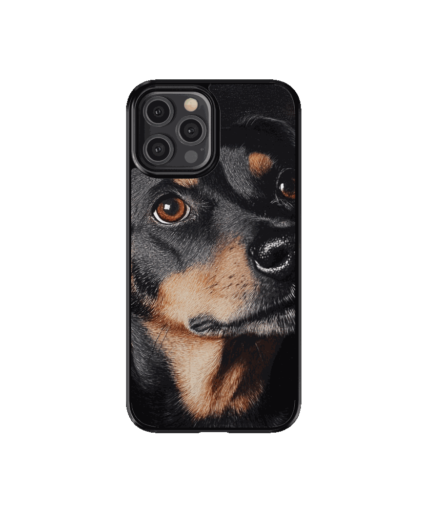 Mascota 2