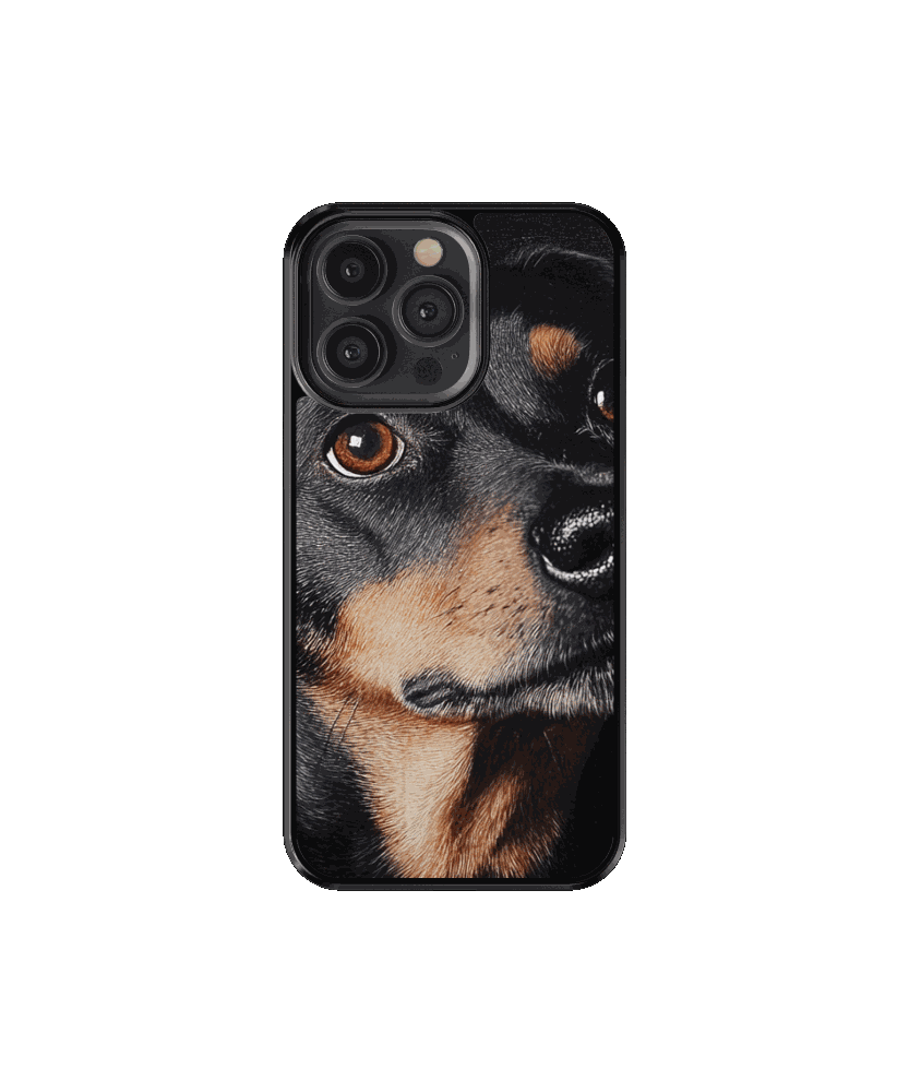 Mascota 2