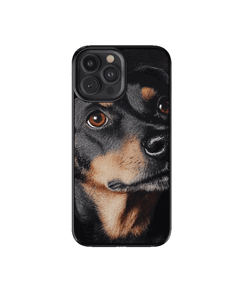 Mascota 2