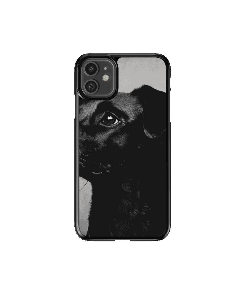 Mascota 3