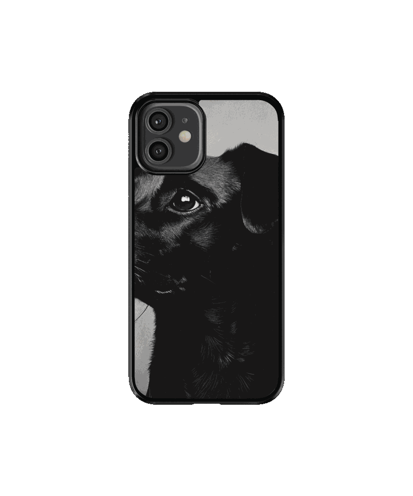 Mascota 3
