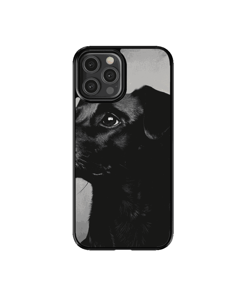 Mascota 3