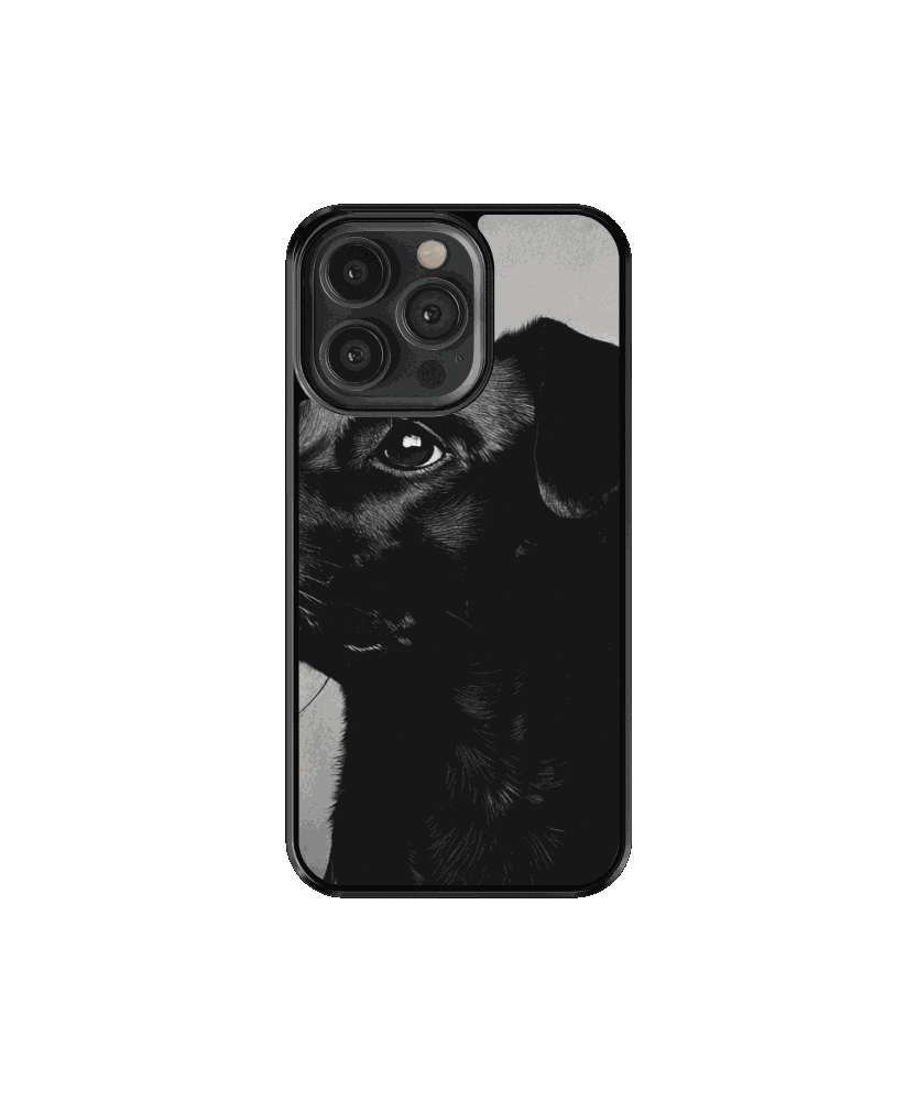 Mascota 3