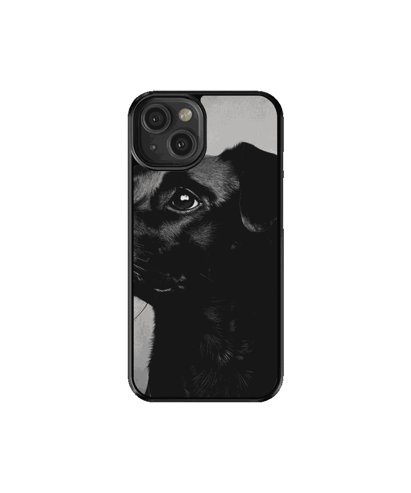 Mascota 3