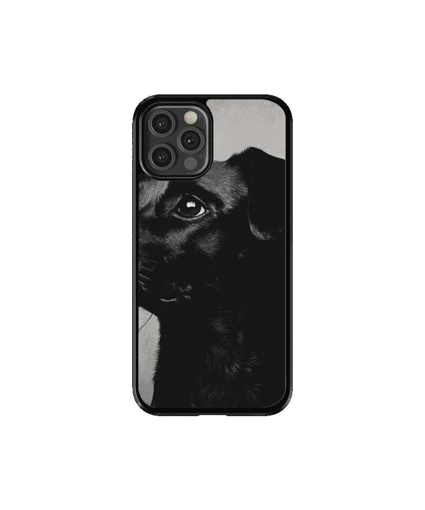 Mascota 3