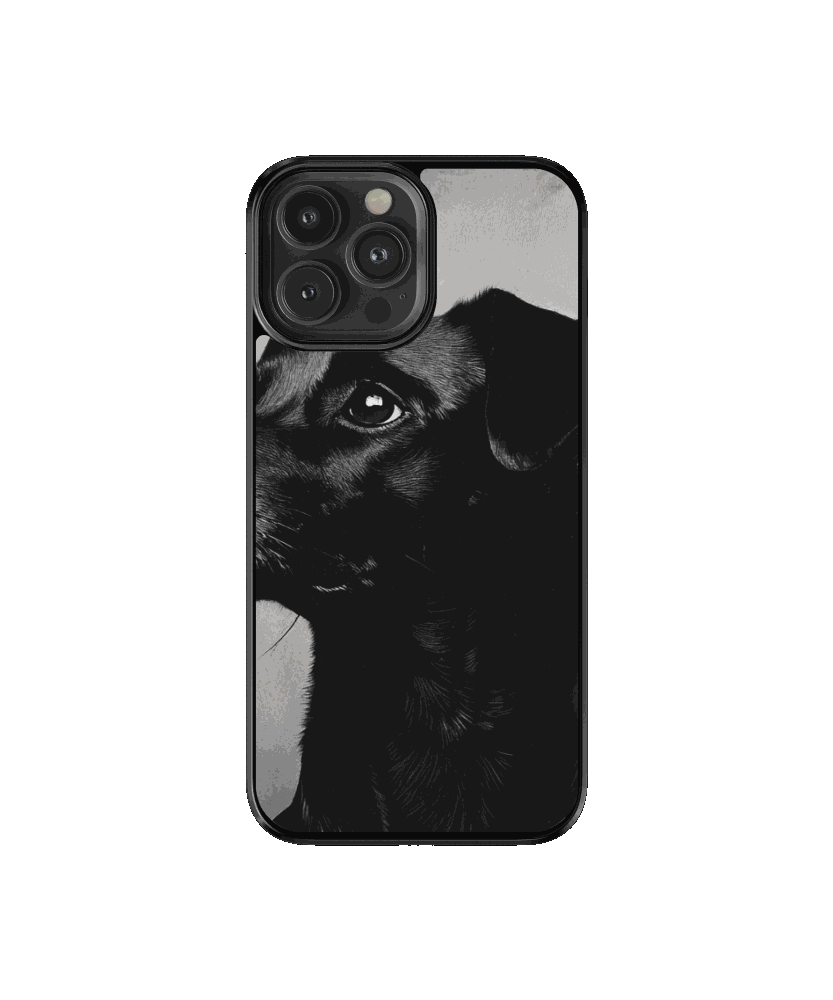 Mascota 3