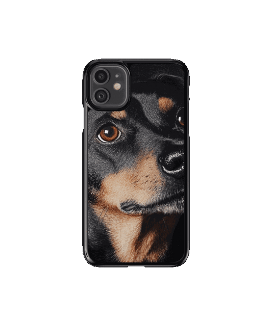 Mascota 2