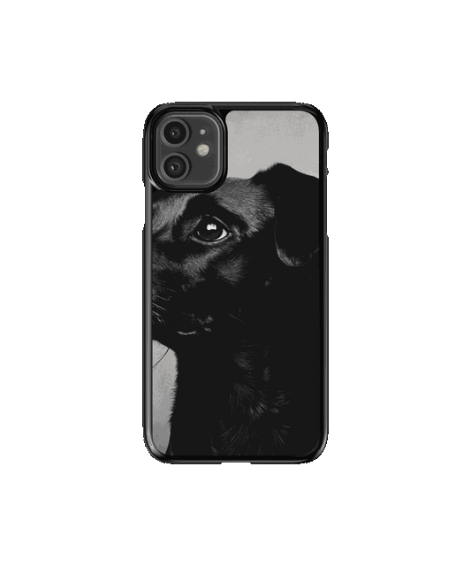 Mascota 3